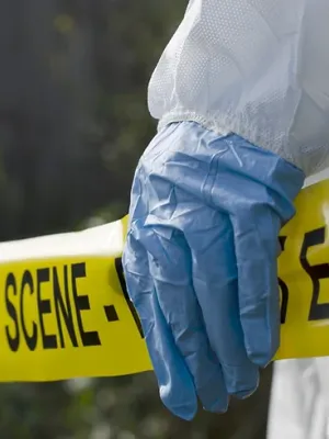 Entendendo os Componentes Essenciais do Processo de Solicitação do Visto U